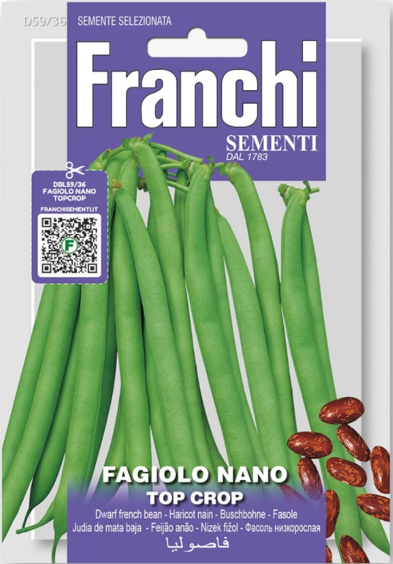 Fasola karłowa Fagiolo Nano Topcrop nasiona vis 50g FRANCHI sklep rajogrodnika